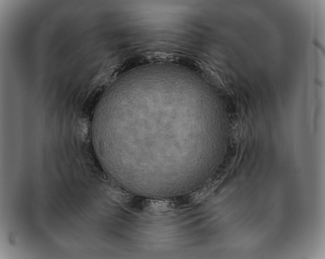 X0000091200709200708231531