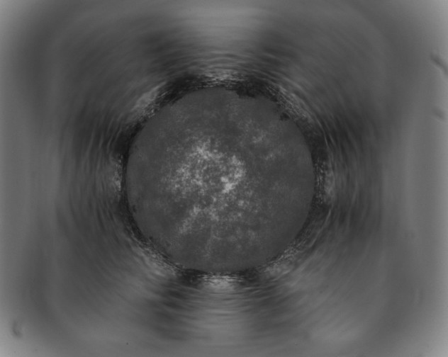 X0000091200710200708231531