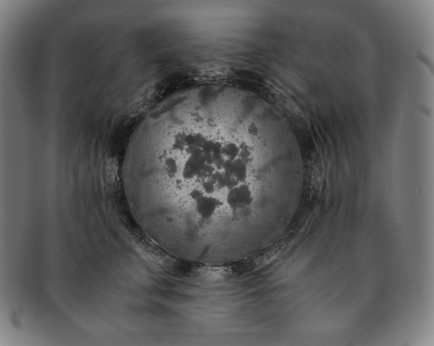 X0000091200711200708231531