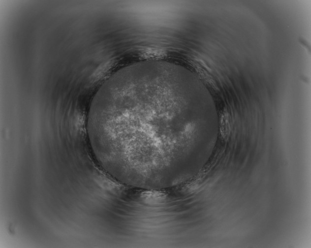 X0000091200714200708231531