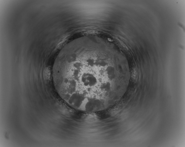 X0000091200715200708231531