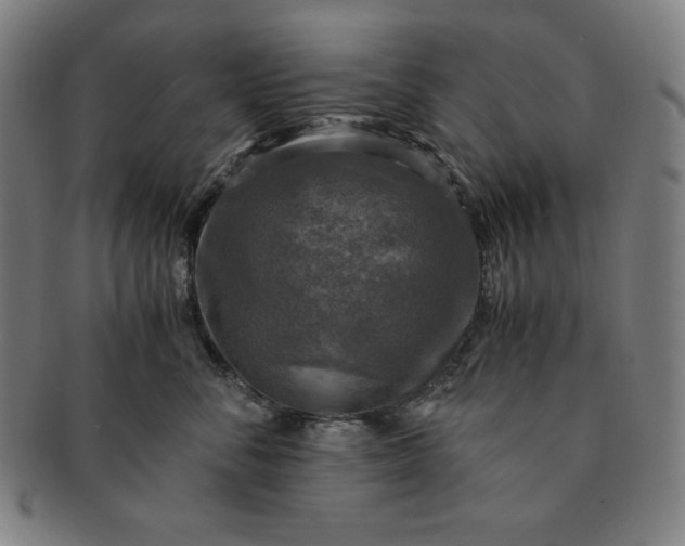 X0000091200716200708231531