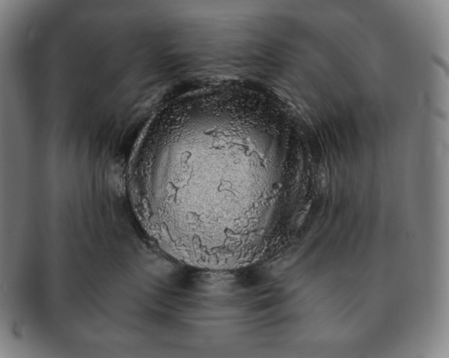 X0000091200719200708231530