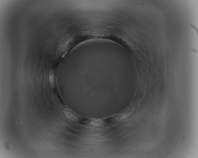 X0000091200720200708231530