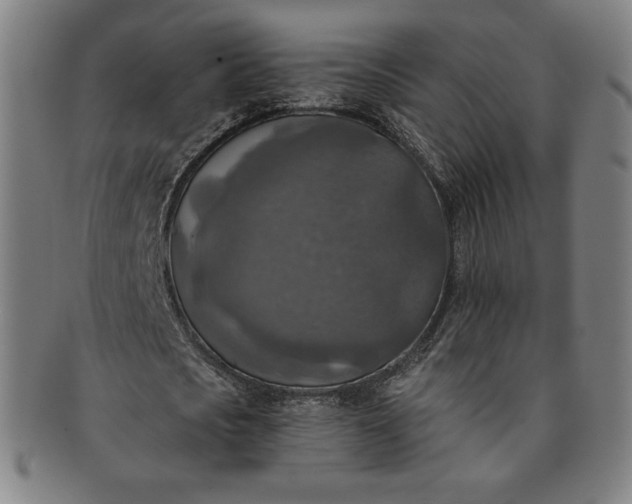 X0000091200721200708231530
