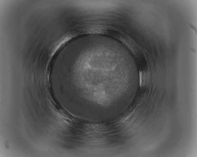 X0000091200723200708231530