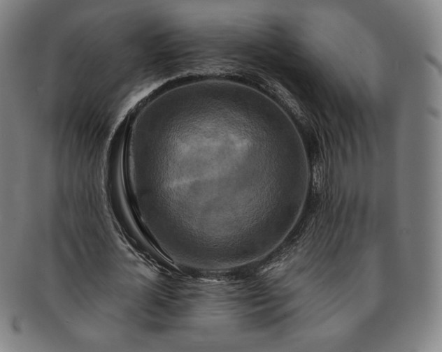 X0000091200724200708231530