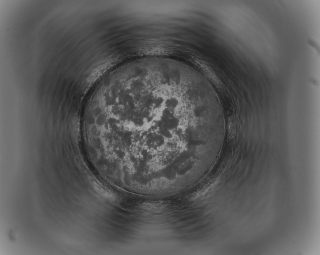 X0000091200725200708231530