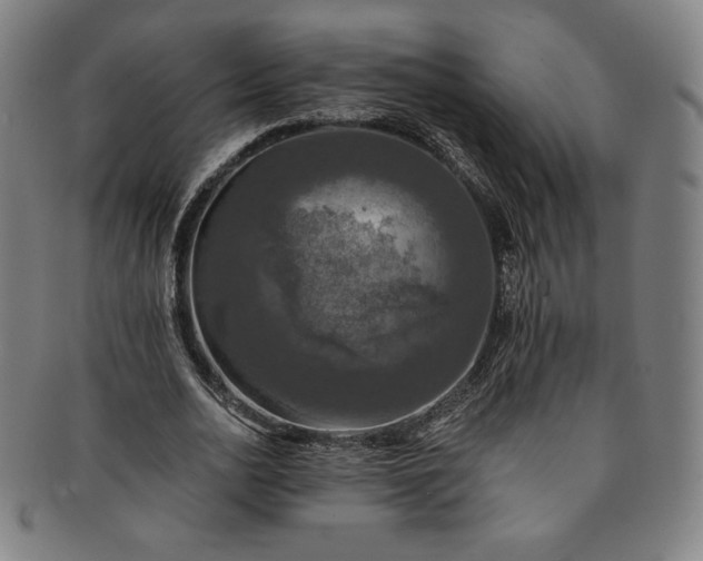 X0000091200726200708231530