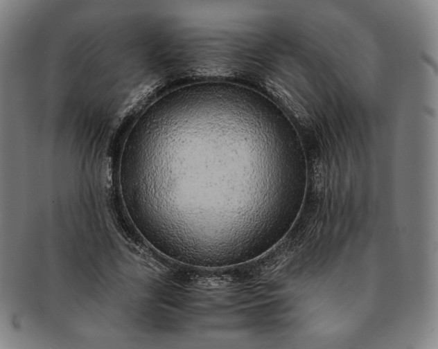 X0000091200731200708231530