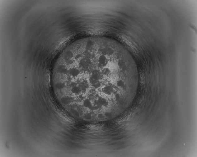 X0000091200733200708231530