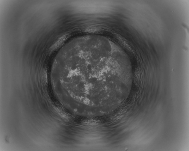 X0000091200734200708231530