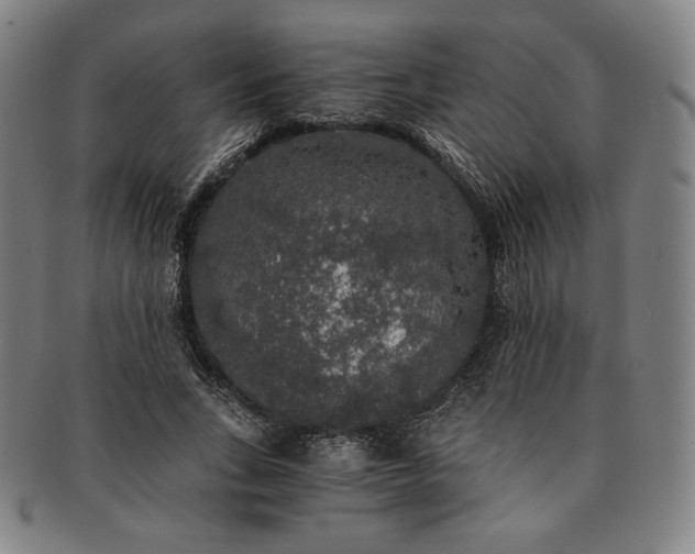 X0000091200735200708231530
