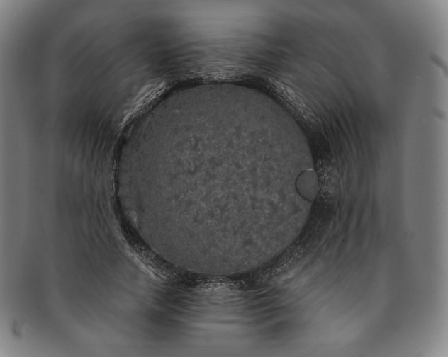 X0000091200738200708231530