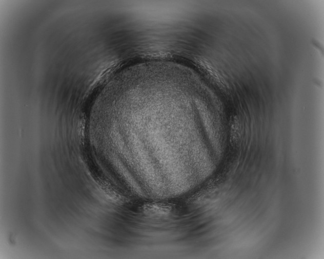 X0000091200739200708231530