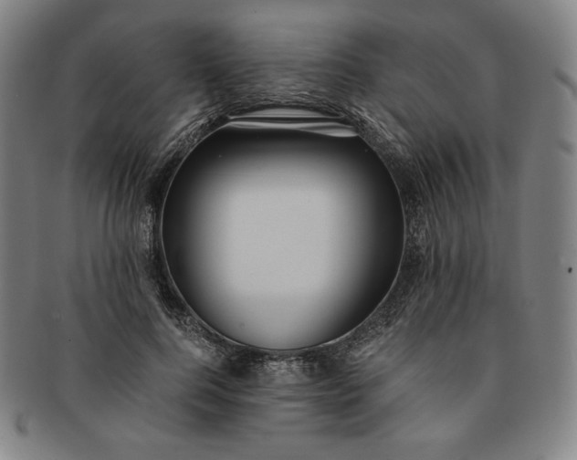 X0000091200744200708231530