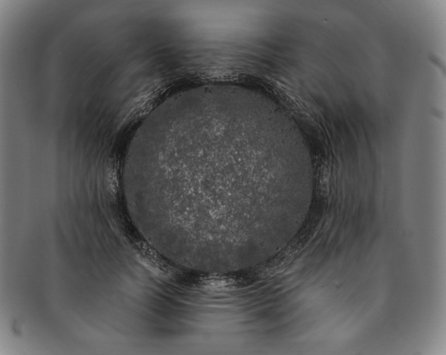 X0000091200746200708231530