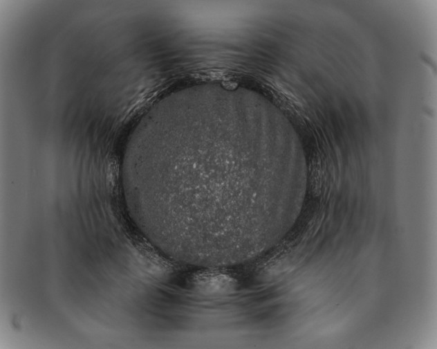 X0000091200747200708231530