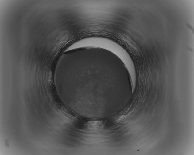 X0000091200748200708231530