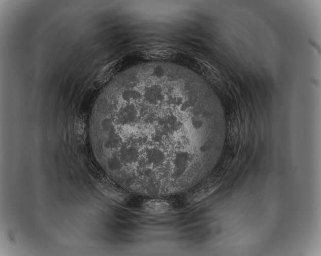 X0000091200749200708231530