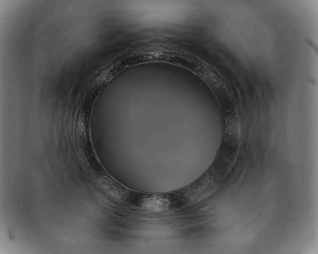 X0000091200754200708231530