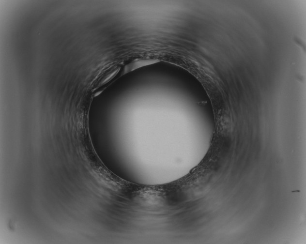 X0000091200756200708231530