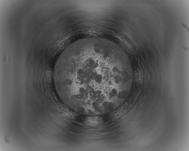 X0000091200757200708231530