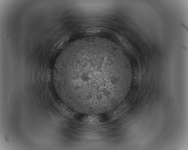 X0000091200758200708231530