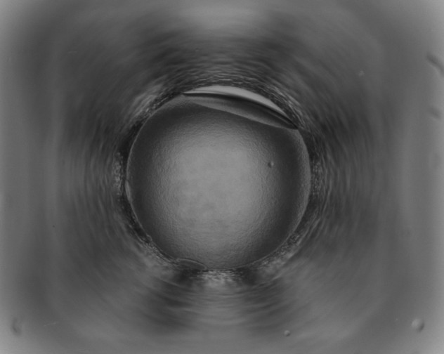 X0000091200762200708231530