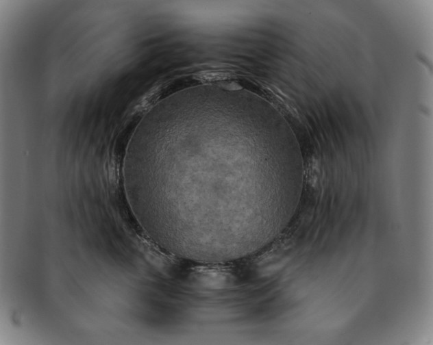 X0000091200763200708231530