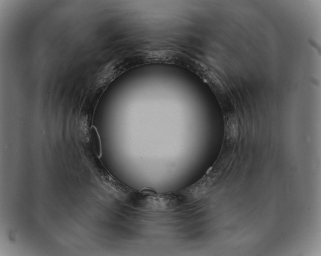 X0000091200764200708231530
