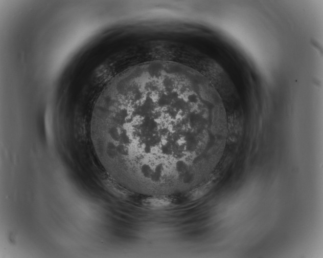 X0000091200765200708231530