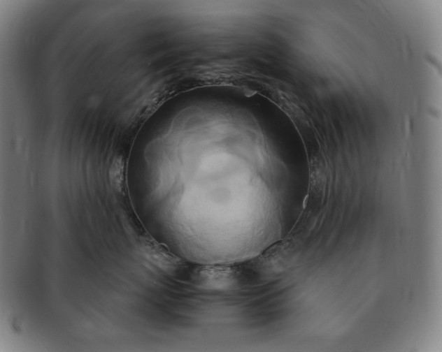 X0000091200767200708231530