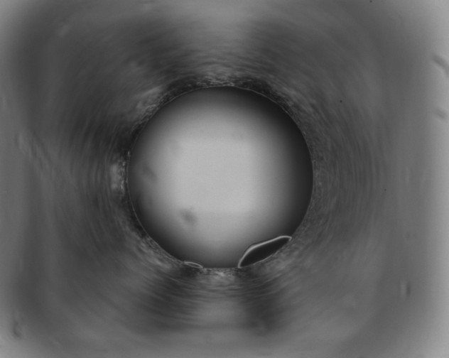 X0000091200768200708231530