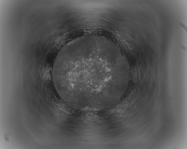 X0000091200770200708231530