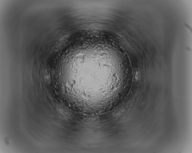 X0000091200771200708231530