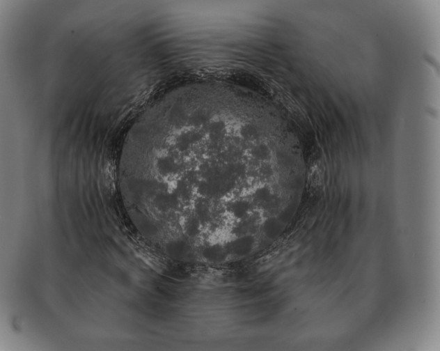 X0000091200772200708231530