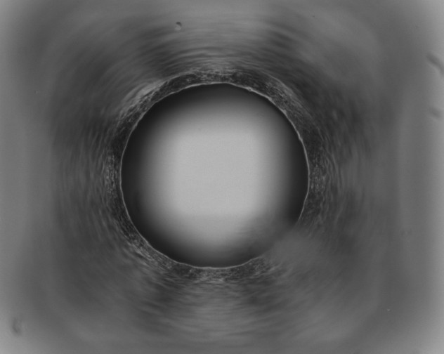 X0000091200773200708231530