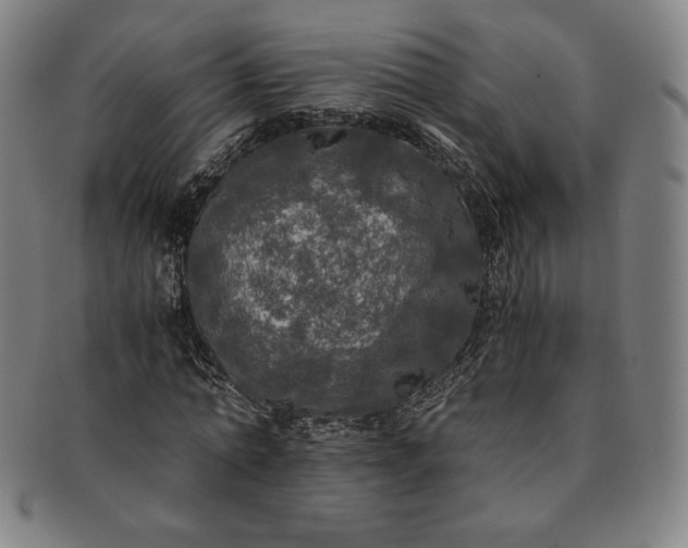 X0000091200774200708231530
