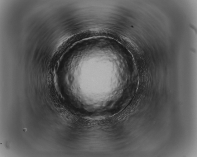 X0000091200776200708231530
