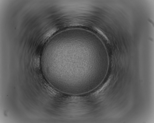 X0000091200777200708231530