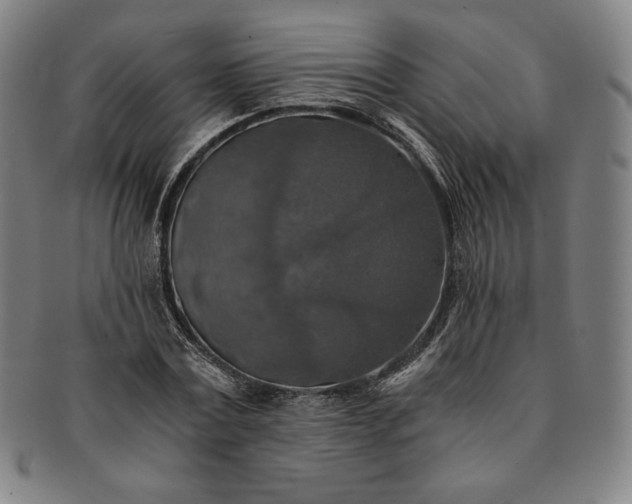 X0000091200779200708231529