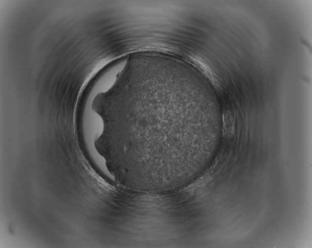 X0000091200780200708231529