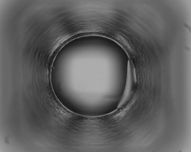 X0000091200781200708231529