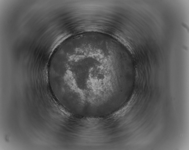 X0000091200782200708231529