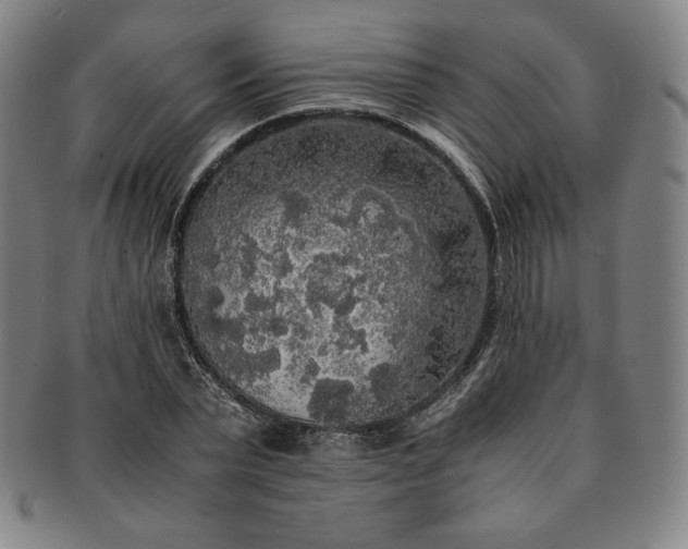 X0000091200783200708231529