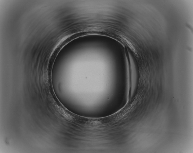 X0000091200784200708231529