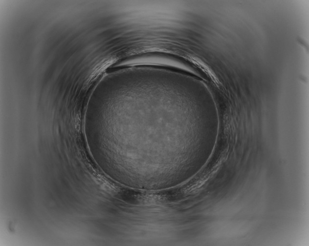 X0000091200785200708231529