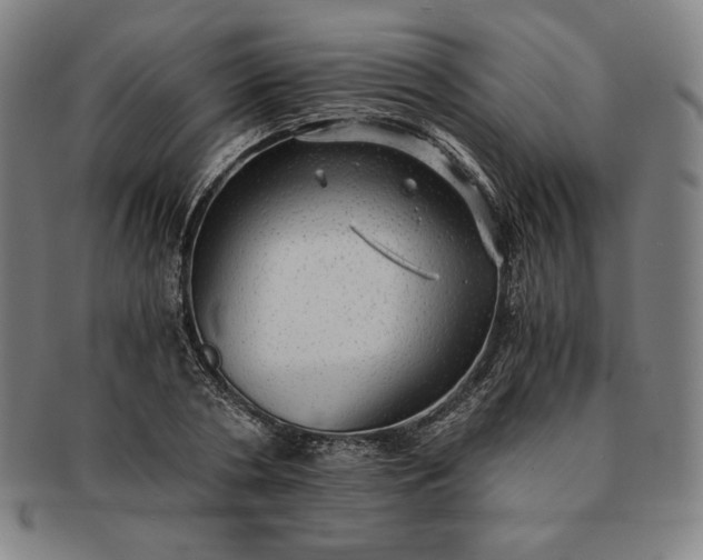 X0000091200786200708231529