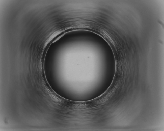 X0000091200789200708231529